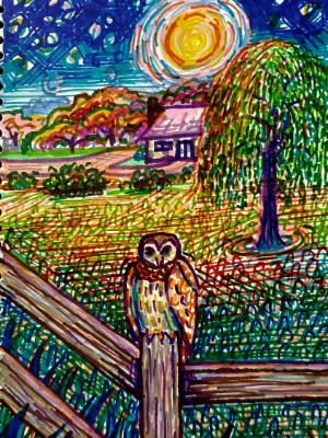 Owl on Fence Post