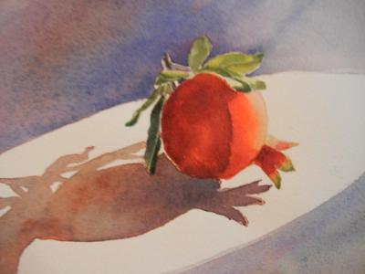 Pomegranite study Pomegranite study