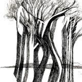 Perspectival Trees 2