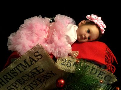 Reborn Preemie AA Baby ~ Christmas Pixie Belle ~ ADOPTED/SOLD