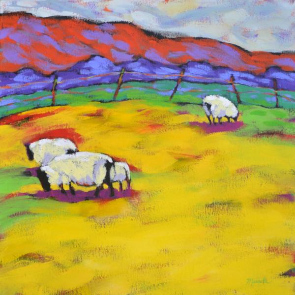 Sheep in an Irish Field
