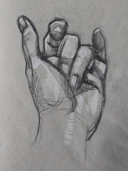 Hand Study (Curled)
