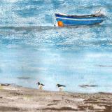 Oystercatchers 