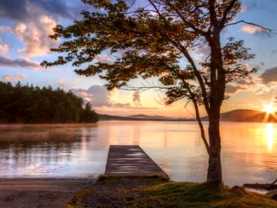 Tree and Dock Adirondacks Sunset Tree and Dock Adirondacks Sunset