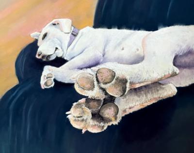Toe Beans Toe Beans