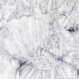 HORSES & more