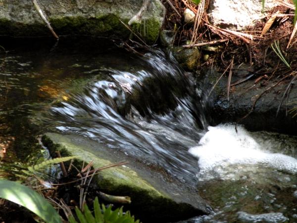 Quail Gardens water-fall