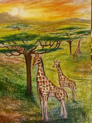 Three Giraffes 