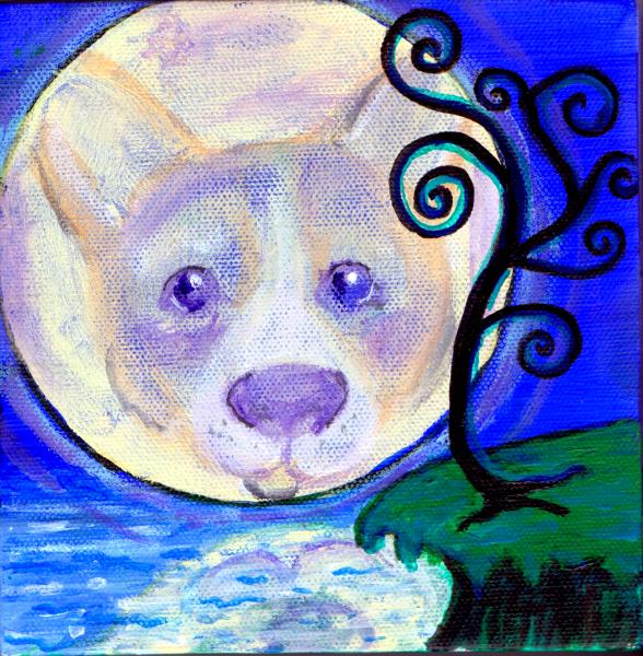 Corgi Moon