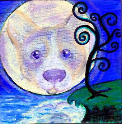 Corgi Moon Corgi Moon