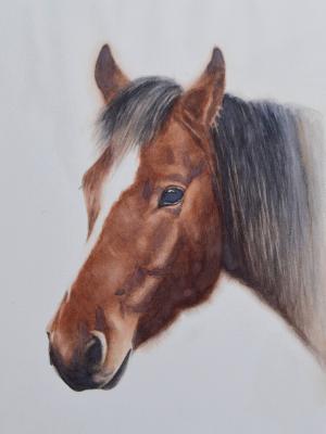 HONEYMOON, 25cm x 35cm, 2017 HONEYMOON, 25cm x 35cm, 2017