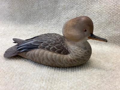 Half size Hooded merganzer hen Half size Hooded merganzer hen
