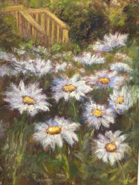 Summer Daisies 