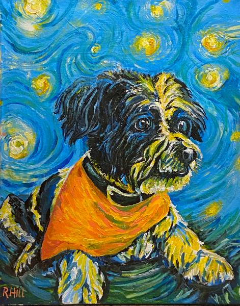 Dioji 's Starry Night with Jiodi