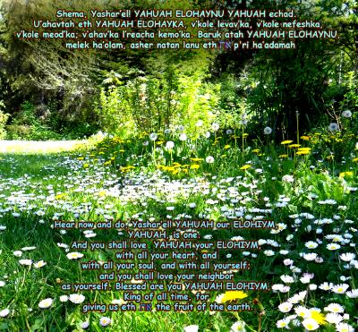 Blessing_Day 1_Morning Blessing_Day 1_Morning
