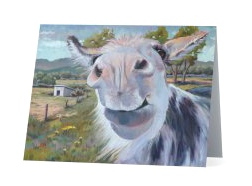 Note Cards Note Cards