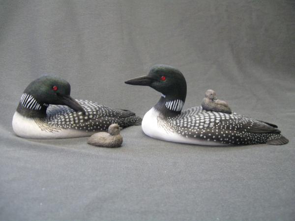 Third Size Loon Family