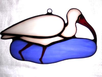 White Ibis White Ibis