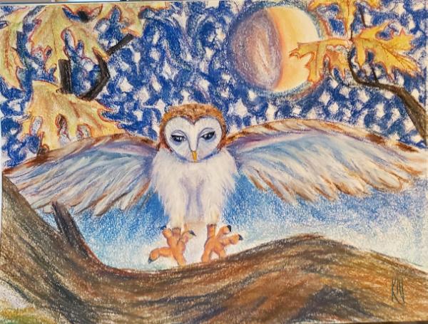 Owl landing on Branch