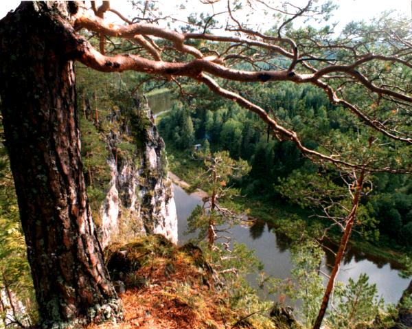 Rivers Mountains Forests