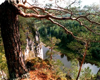 Rivers Mountains Forests