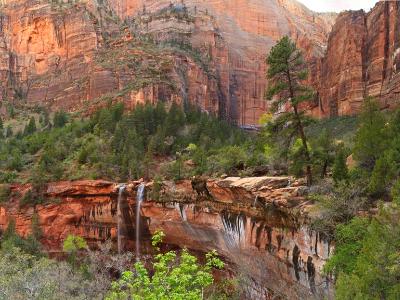 Forest Canyon Waterfalls Forest Canyon Waterfalls