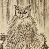 Mr Owl