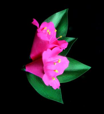 Pink Azalea Pin Pink Azalea Pin