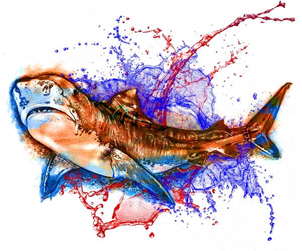 Blood in the Water - Tiger Shark Light