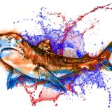 Blood in the Water - Tiger Shark Light