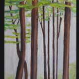 Hugging Trees - Oil