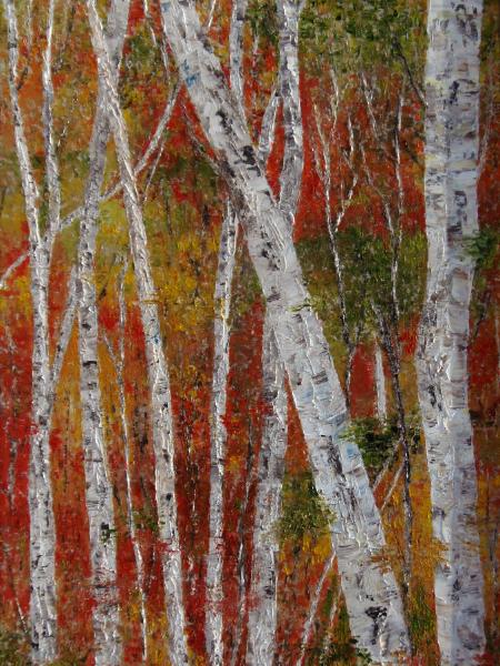 Birch 1