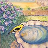 Birds Birds