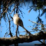 Mount Rainier National Park, WA