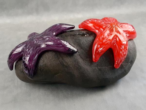  #08302401 Starfish on rock 4''HX10.25WX6.5''D $275.00