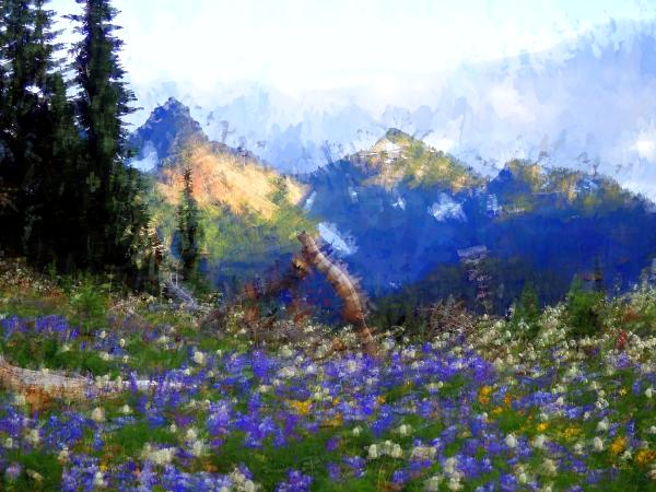 Mount Rainier National Park