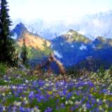 Mount Rainier National Park
