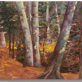 Path in the Woods