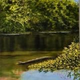 sherrysolowpaintings  fine art in oils