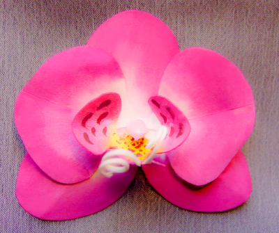 Pink Hand-Sculpted Phalaenopsis Orchid Pin Pink Hand-Sculpted Phalaenopsis Orchid Pin
