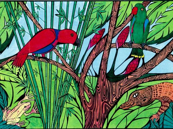 Palau Parrots (sold)