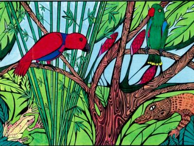 Palau Parrots (sold)