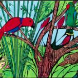 Palau Parrots (sold)