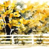 Autumn Leaves