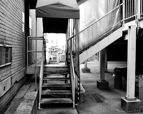 raleigh, 2007 (canon Powershot pro 1)