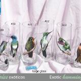 Set of handpainted glasses: EXOTIC HUMMINGBIRDS