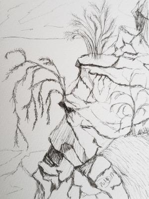 The thirsty plant longs to sip the sweet water flowing in the valley below. 5 1/2 × 7 1/2 sketch on The thirsty plant longs to sip the sweet water flowing in the valley below. 5 1/2 × 7 1/2 sketch on