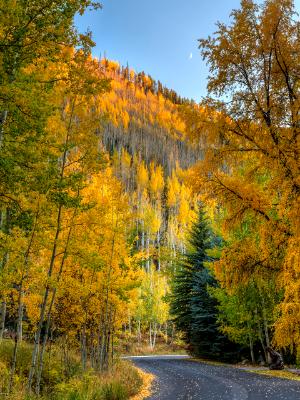 Vail Autumn WInding Road Vail Autumn WInding Road