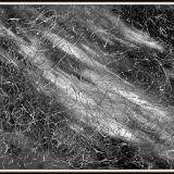 Pollock Style Pollock Style