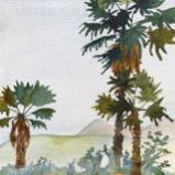 Carla Scheidlinger Watercolors